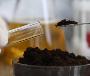 Decarbin_Carbon Prices_Carbon Credits